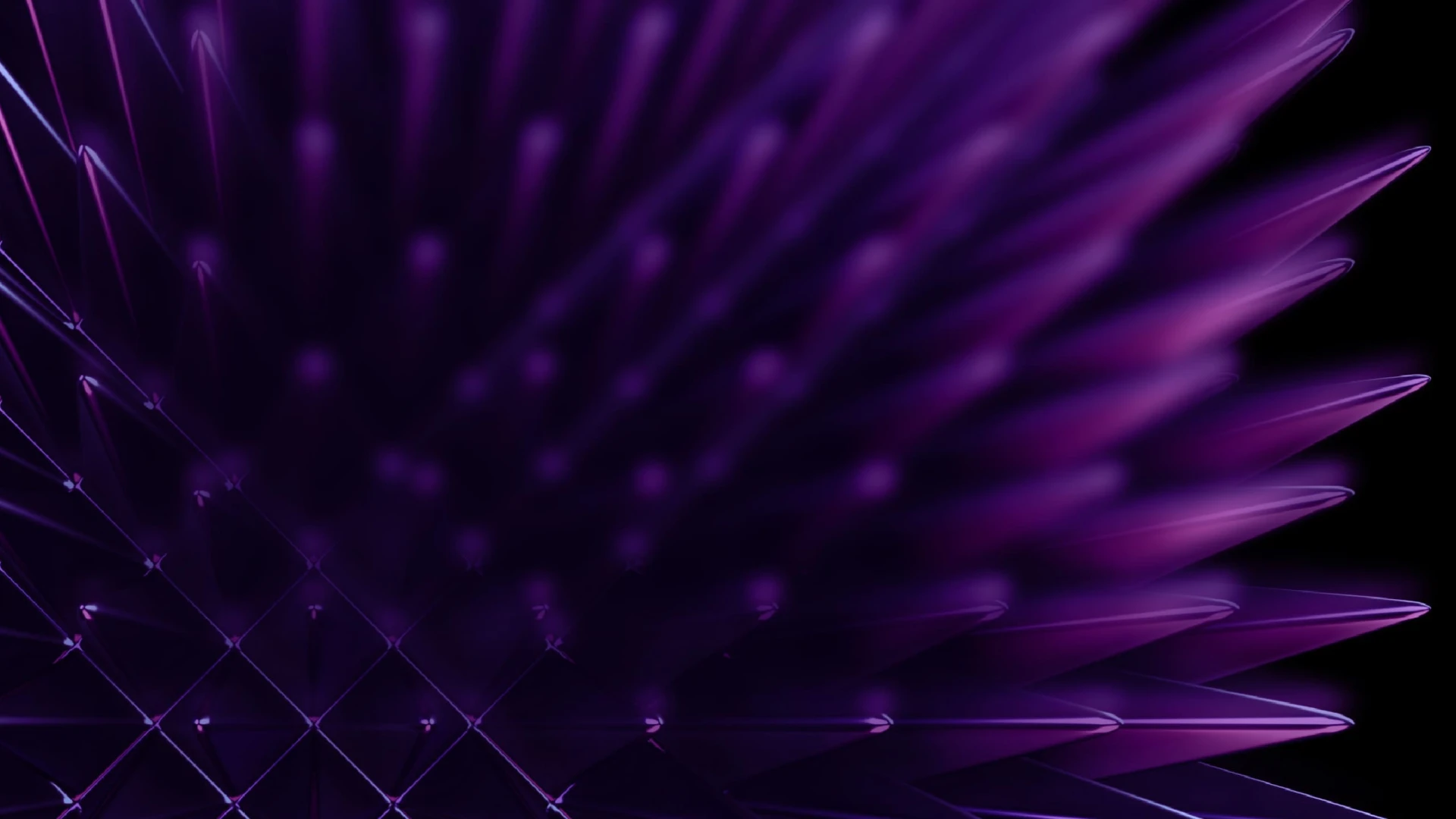 Foto Header Sito Zest 6